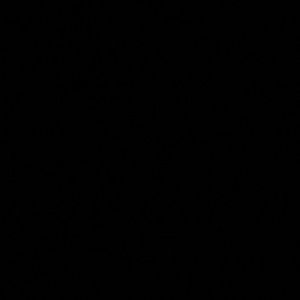 Meet your Posher, Justis